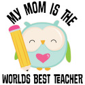 Teacher Mom School Owl